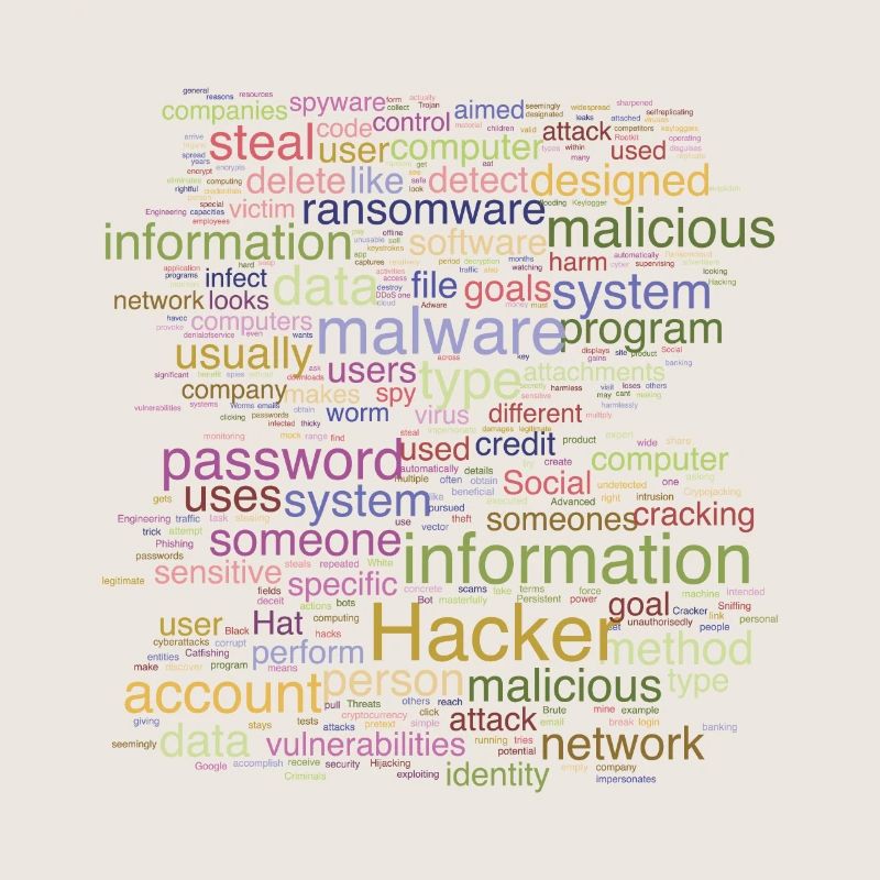Cybersécurité Programmation informatique