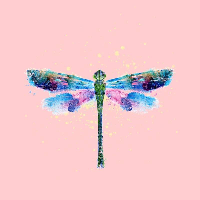 Libellule