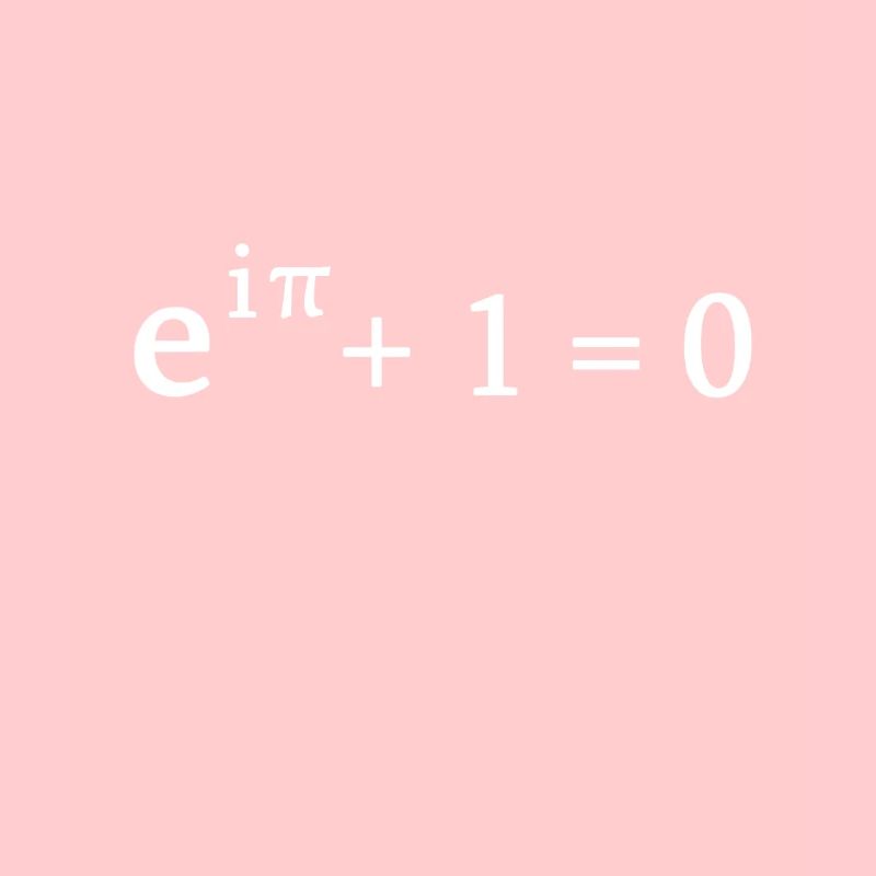 Euler Formel Mathe Mathematiker Nerd Science Pi