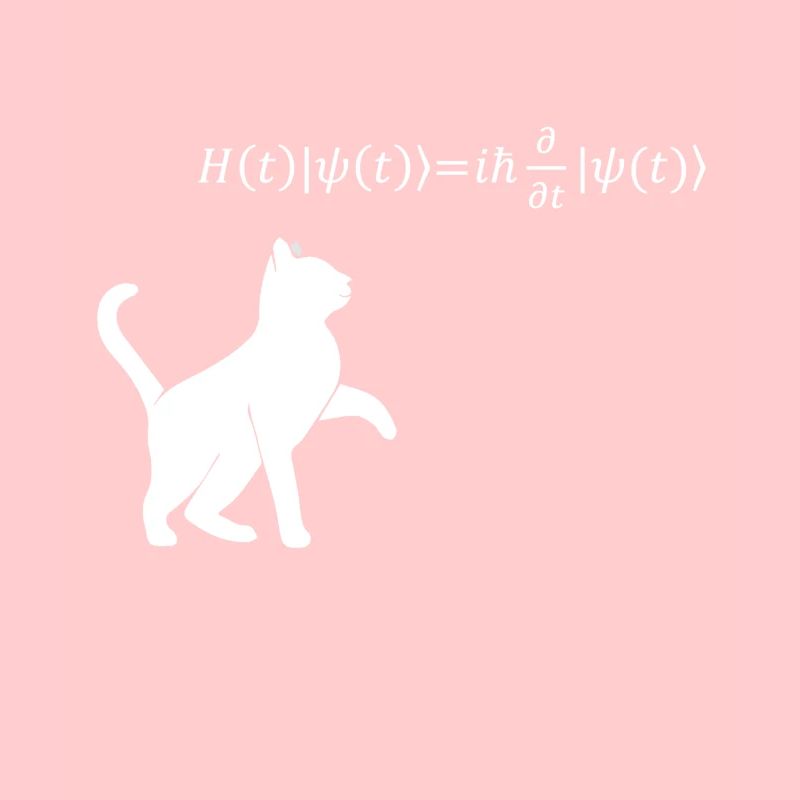 Chat De Schrödinger - physicien cadeau de physique nerd
