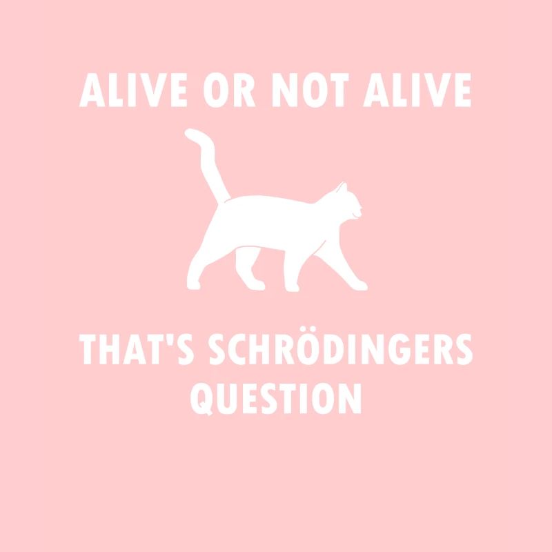Chat De Schrödinger - physicien cadeau de physique nerd
