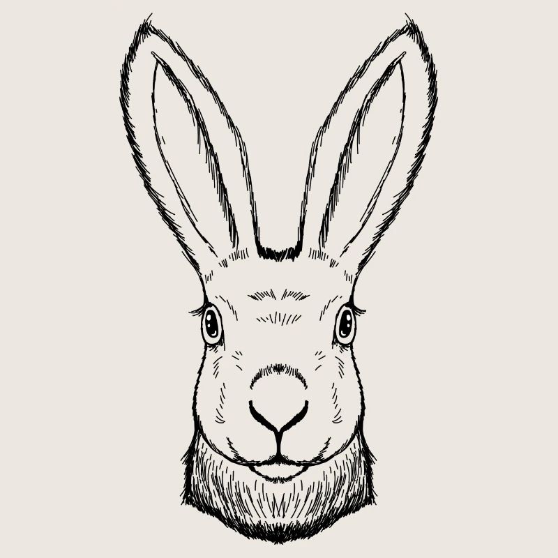 Rabbit drawn, handmade, Easter