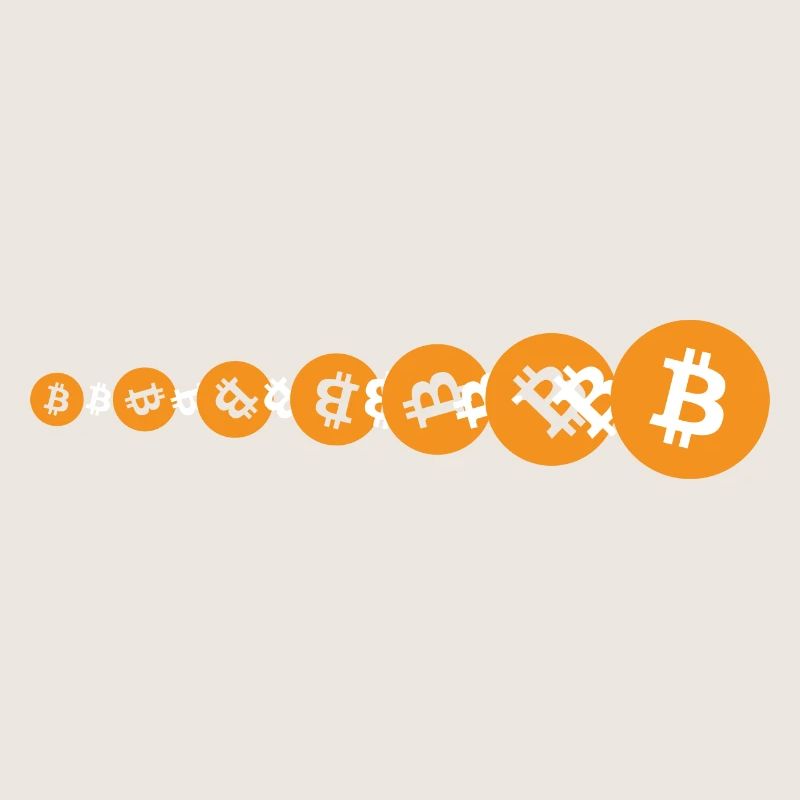 Bitcoin BTC Evolution