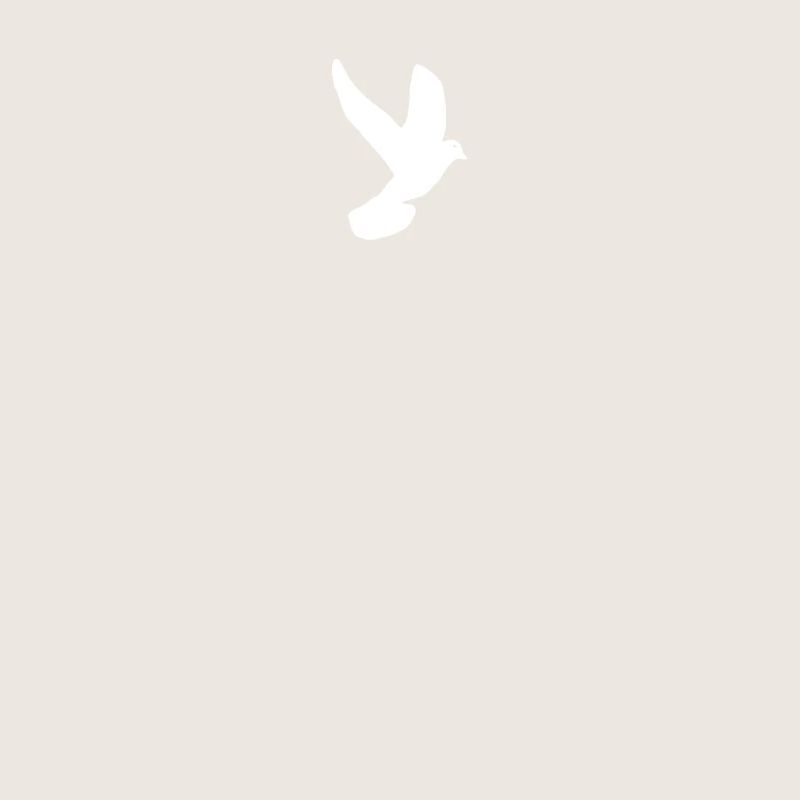 colombe