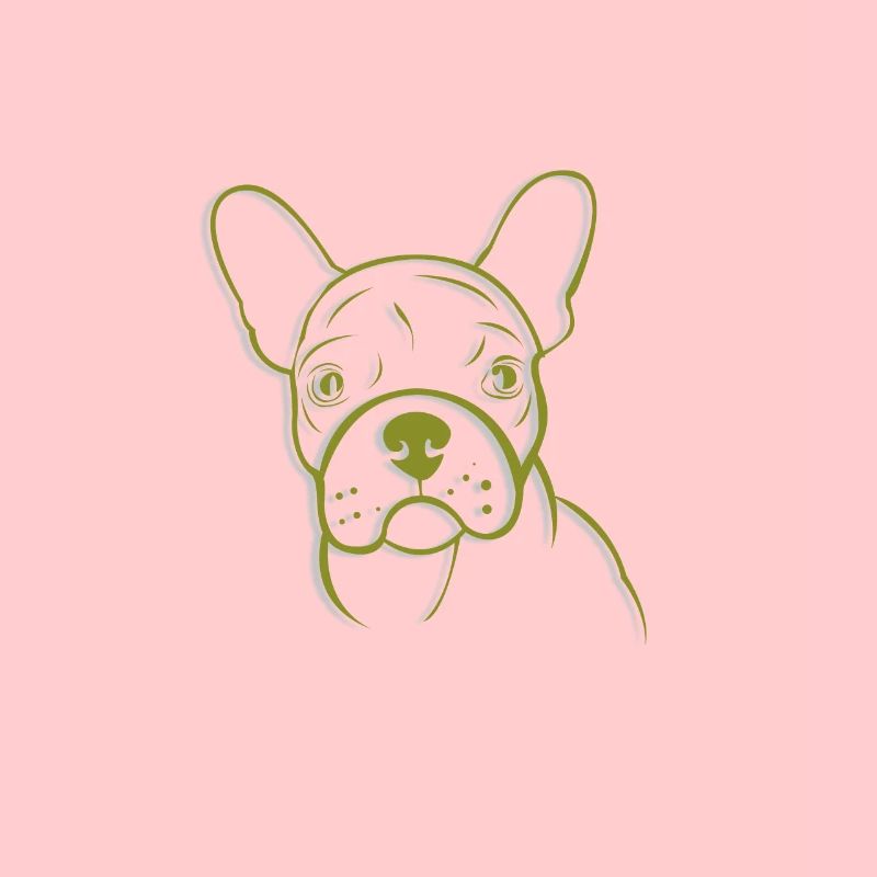 French bulldog