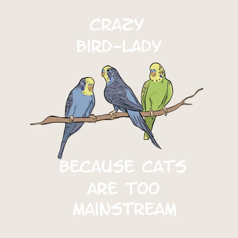 Budgerigar parakeet bird