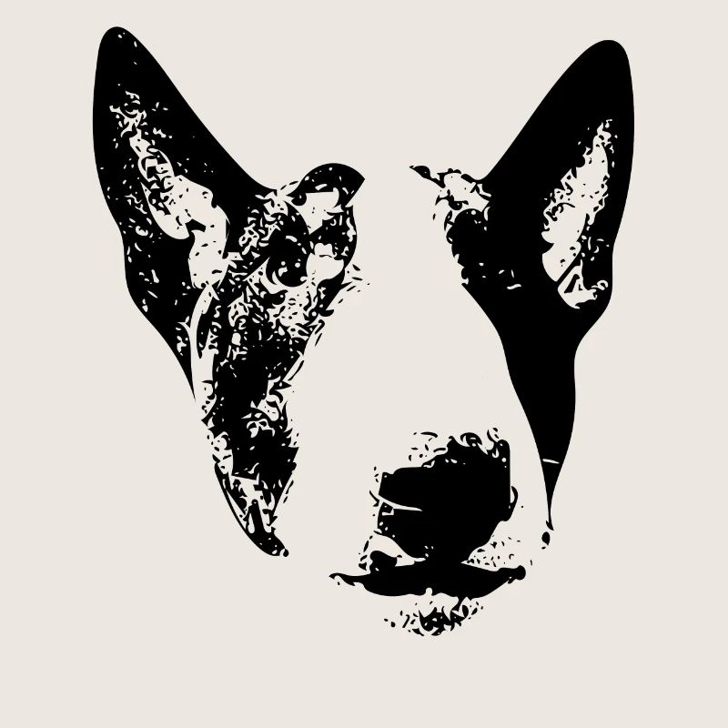 Bull Terrier anglais