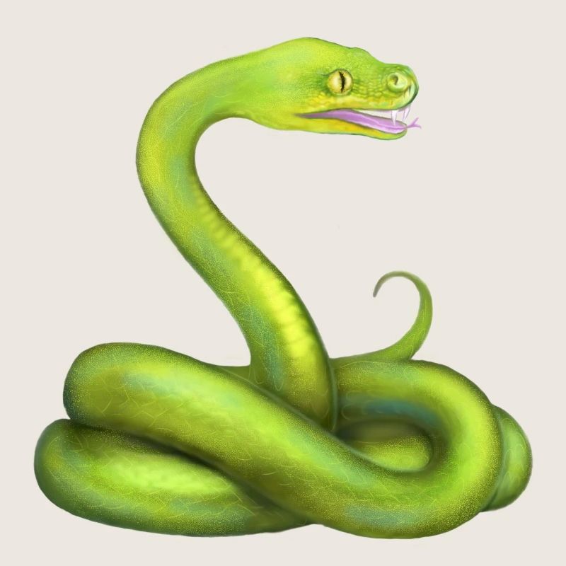 L’animal de la jungle du serpent python vert