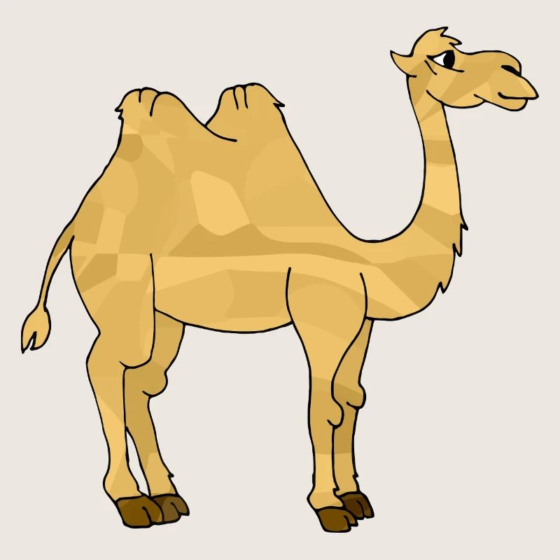 Kamel