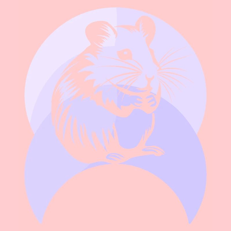 Hamster Nagetier