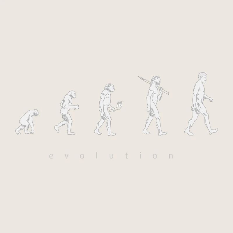 Human evolution