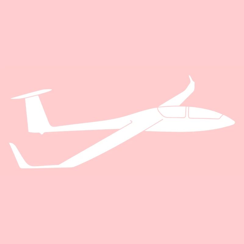 DG1000 glider glider pilot glide