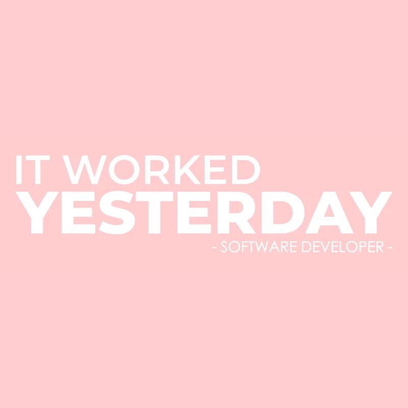 Software Developer Yesterday Works Gift