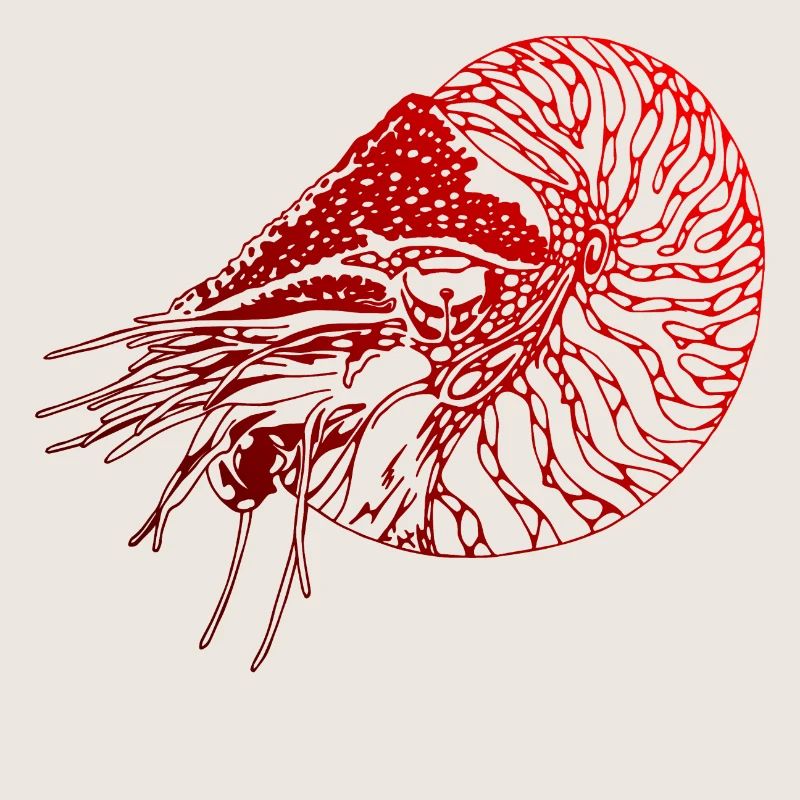 Nautilus SCUBA DE PLONGÉE PLONGÉE DE PLONGÉE ROUGE