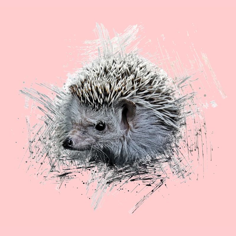 Hérisson