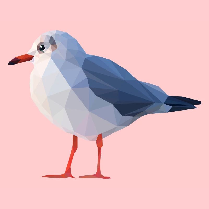 Möwe