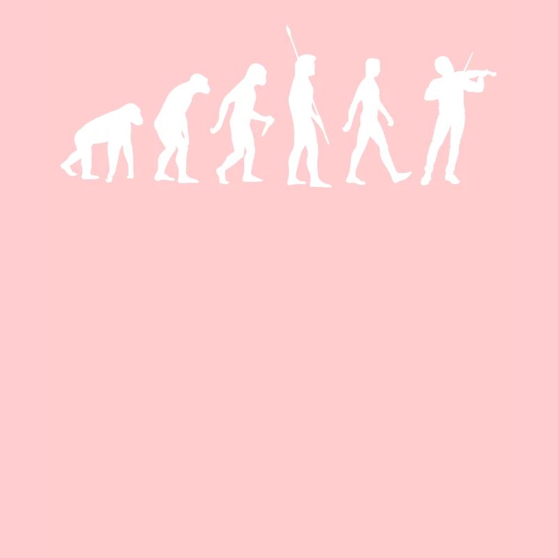 Evolution Violon - Violoniste