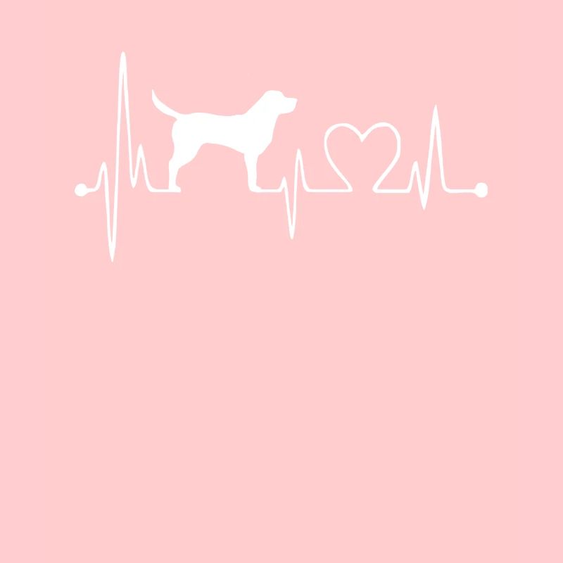 Labrador