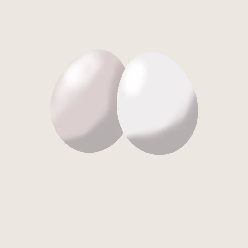 eggs