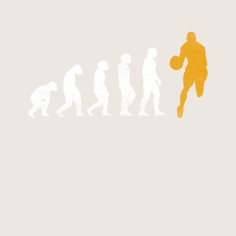 Evolution du basket
