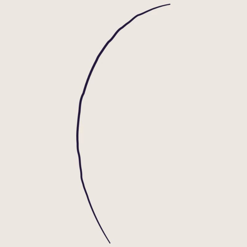 Conifer - line