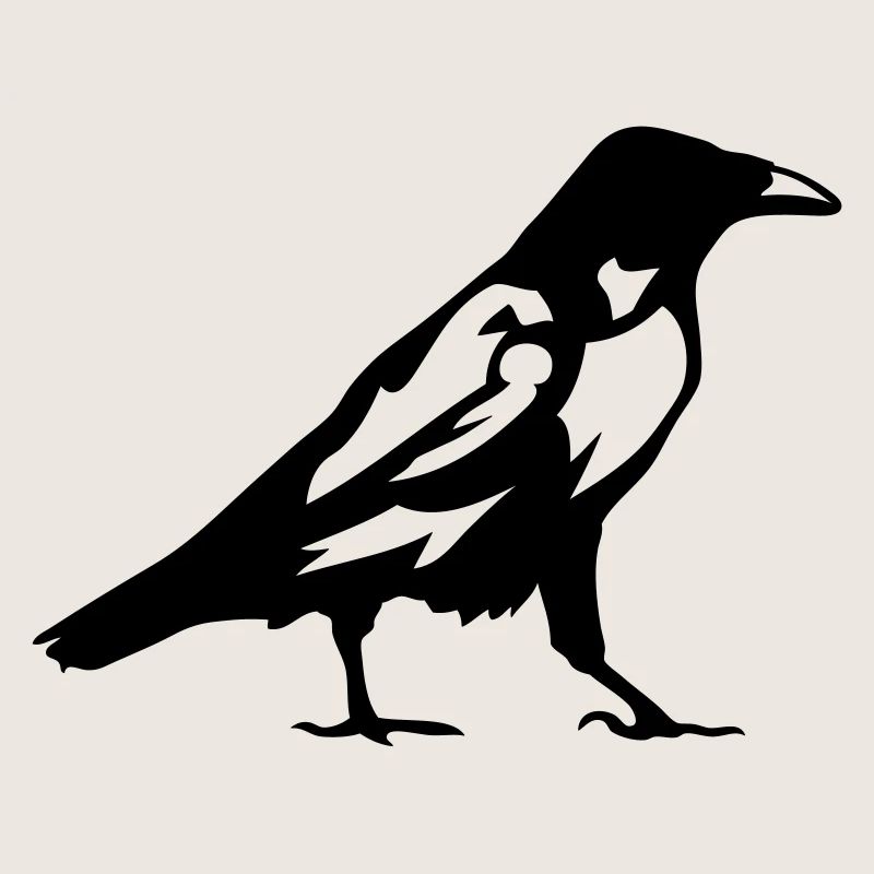birds raven 1
