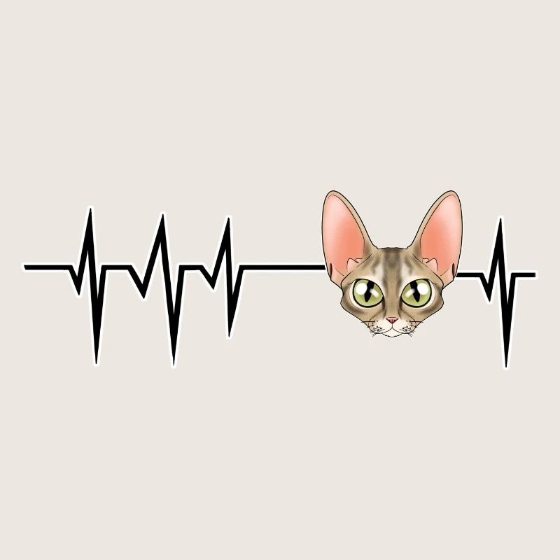 Chat Heartbeat I Devon Rex Chat