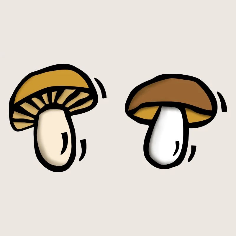 Champignons Champignons Champignons Champignons Champignons Cueillette De Champignons