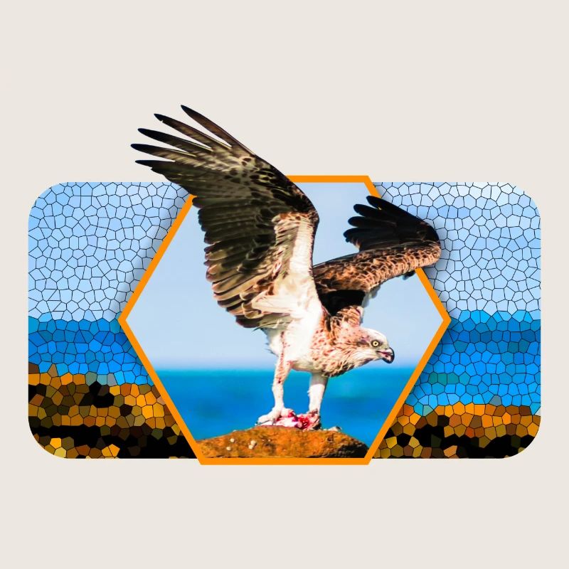 Aigle aux ailes déployées et forme graphique