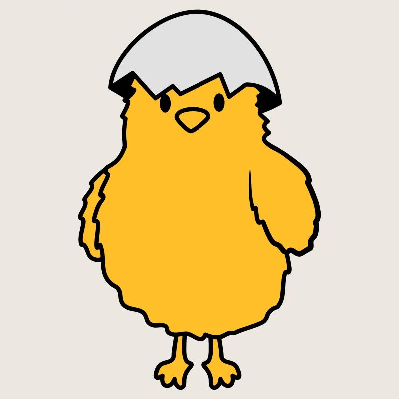 Chicks with eggshell on the head