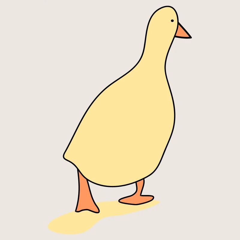 Oiseau canard 3