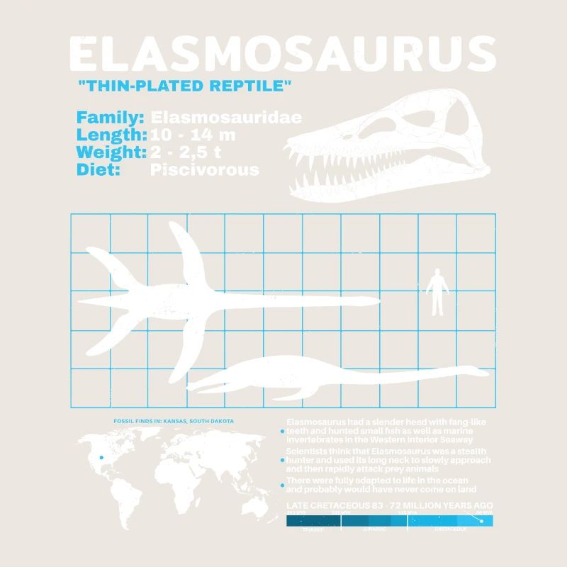 Fiche d’information sur Elasmosaurus