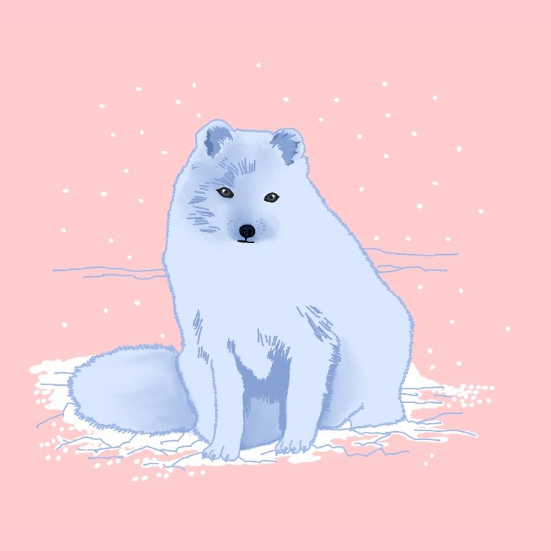 Polarfuchs im Schnee