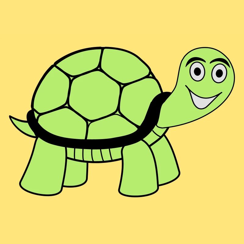 turtle