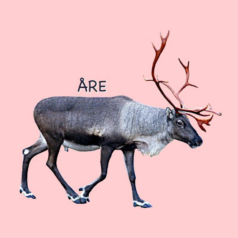 SIND
