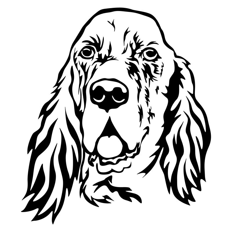 Englischer Setter Kopf