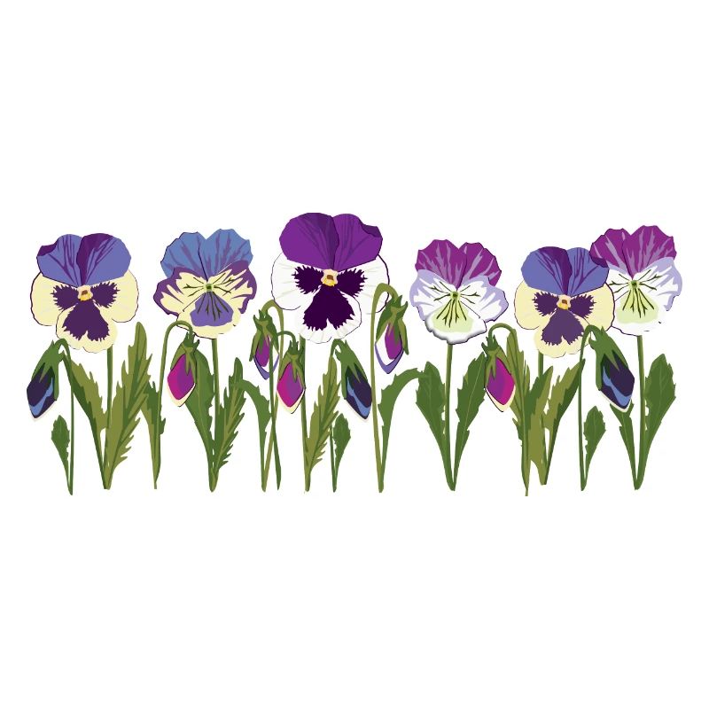 Rangée de fleurs de pensée en violet