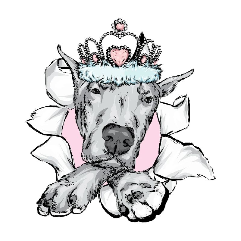 Great Dane, German Mastiff, Great Dane