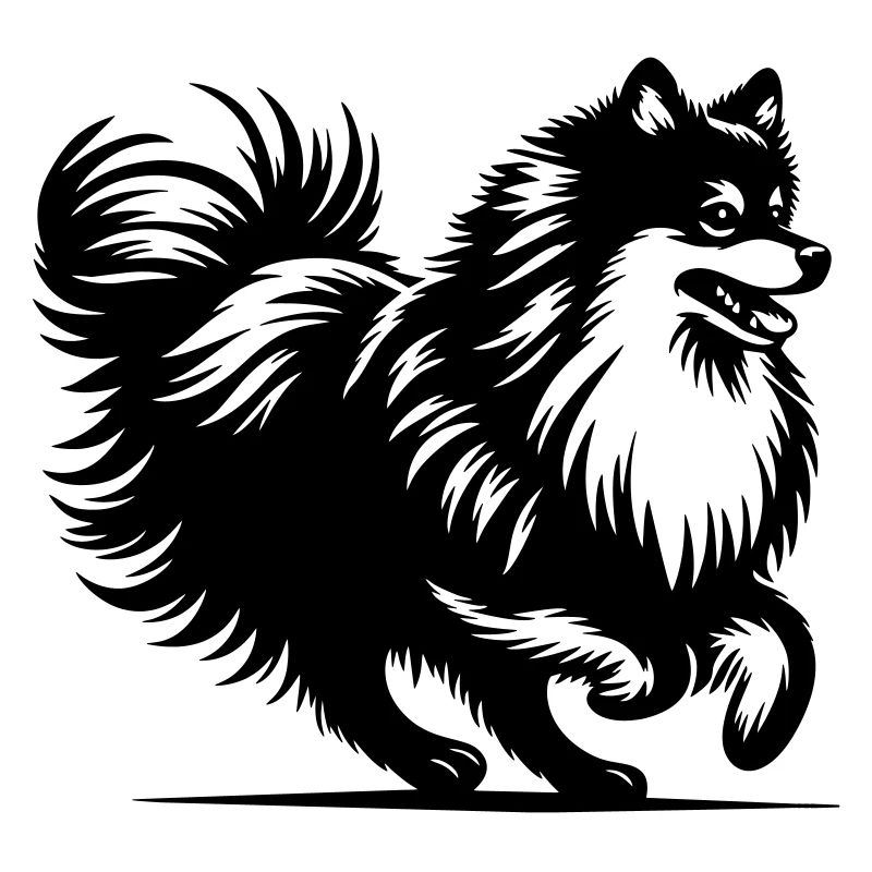 Spitz