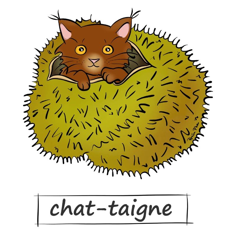 Chat-taigne