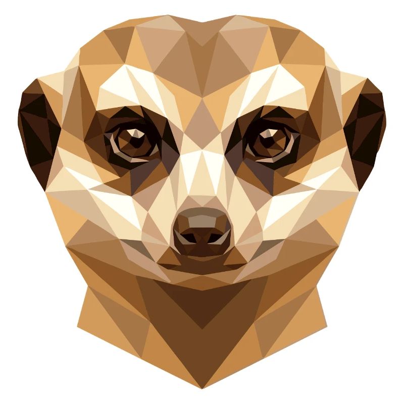 Suricate Suricate Douce Mangouste Suricate