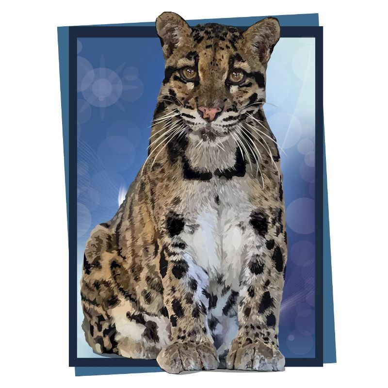 Clouded leopard