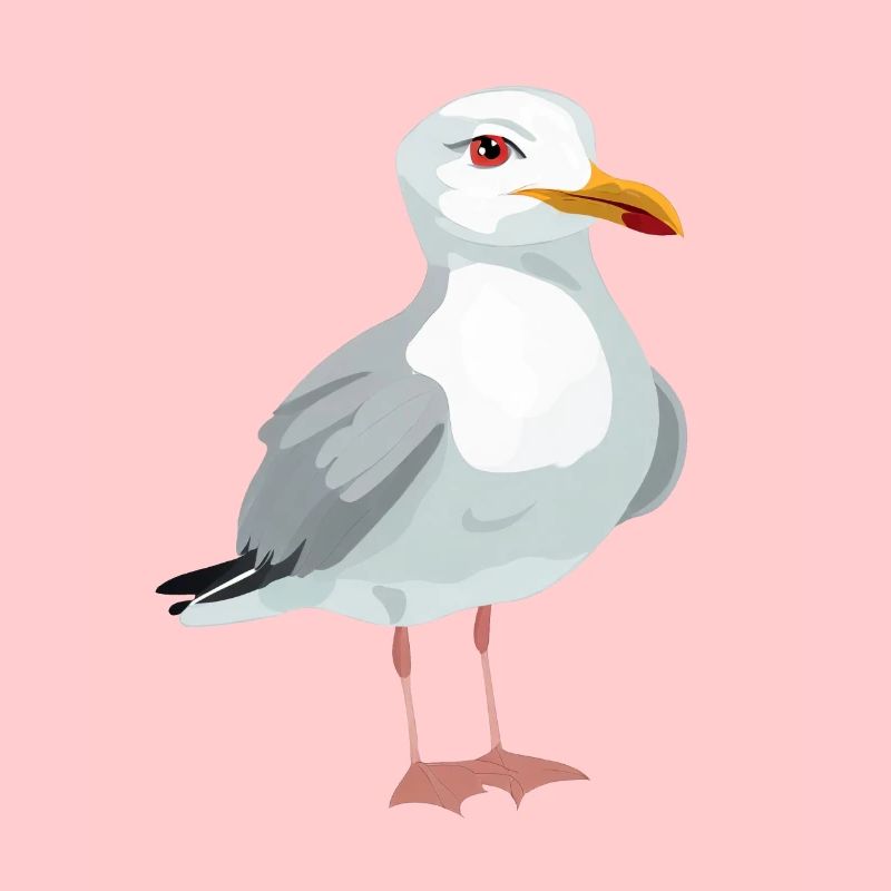 Möwe
