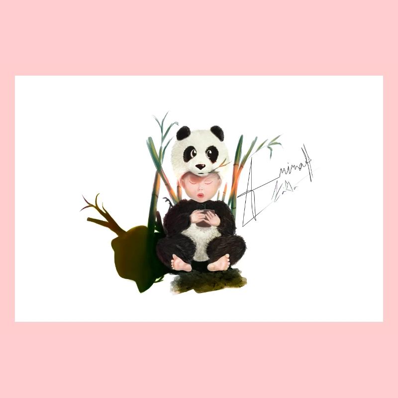 Bébé panda