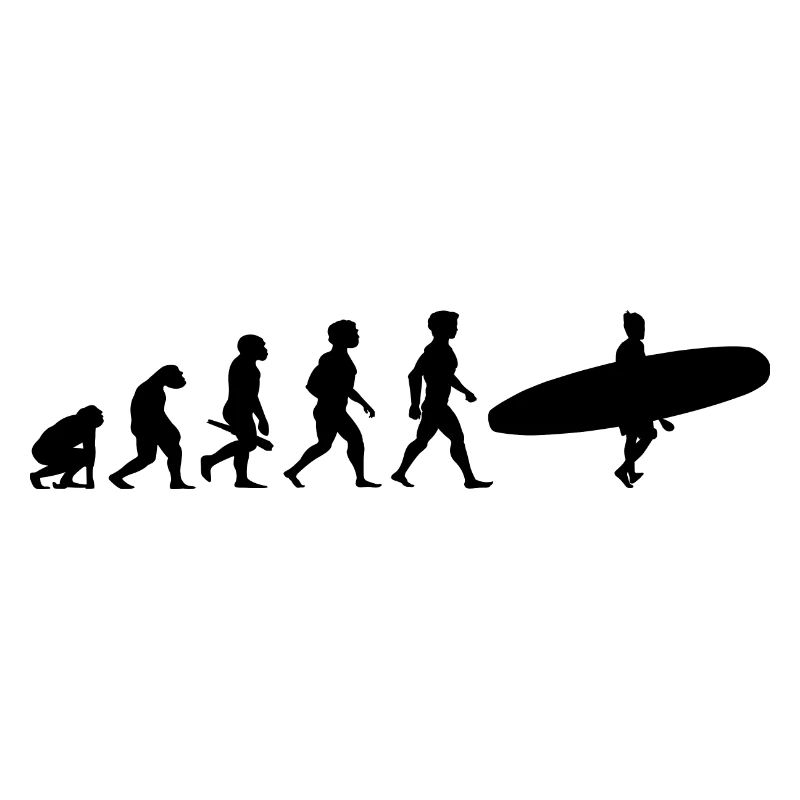 Evolution Surfing Surfer Surfboard Wellenreiten