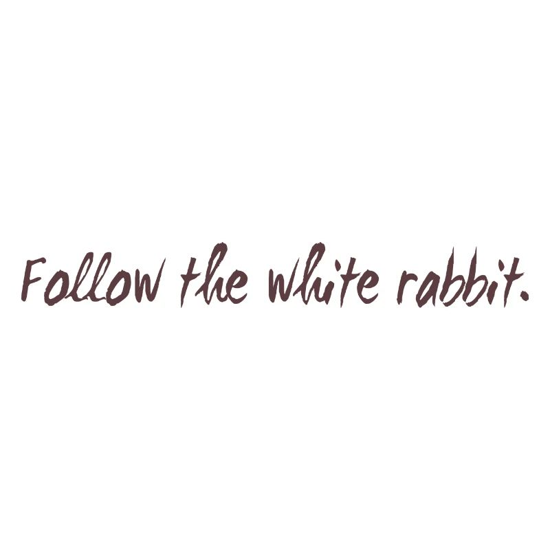 Follow the white rabbit programming cadeau