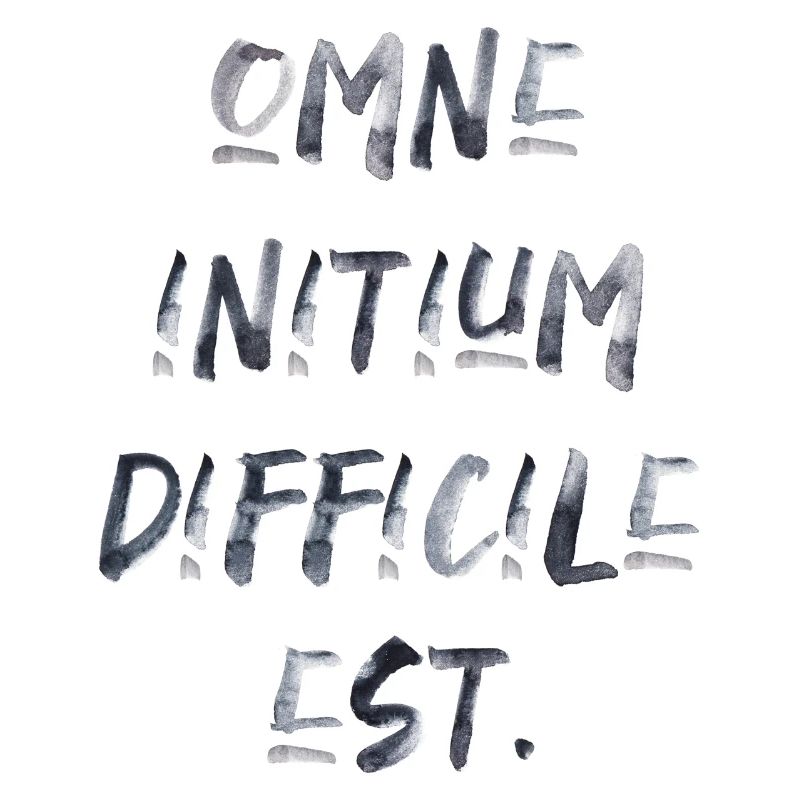 all beginning is difficult Latin quotation scripture