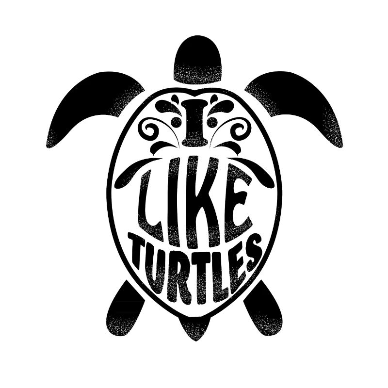 cool turtle gift