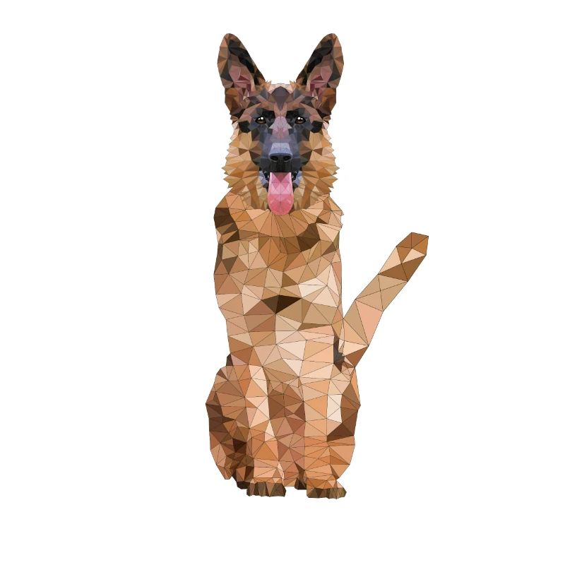 Cane da pastore poligono Razza Cane cane di razza Cane