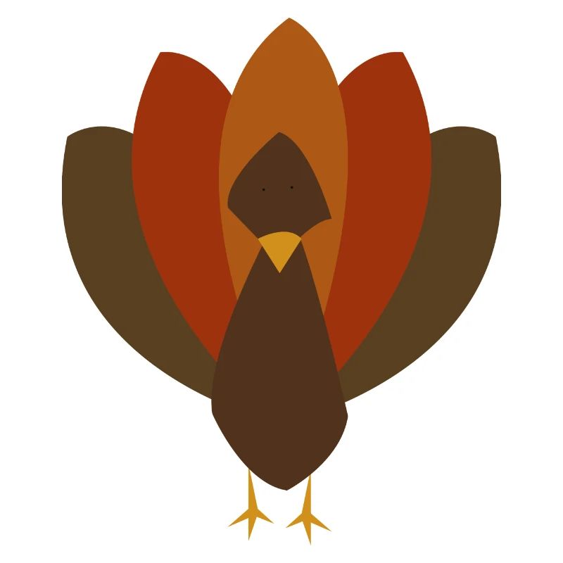 Conception de la dinde